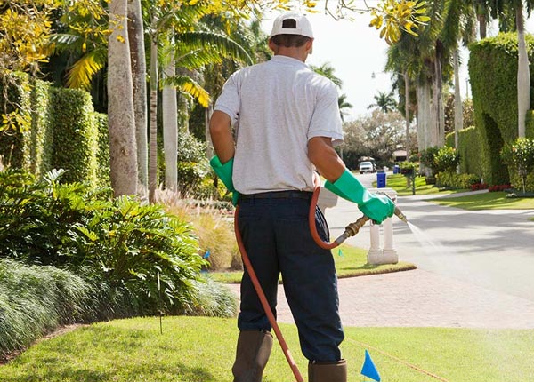 About Eagle Creek OR Pest Control Pros